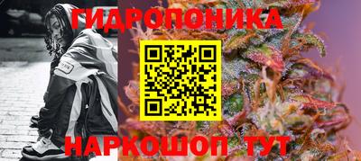 шишки Волгодонск